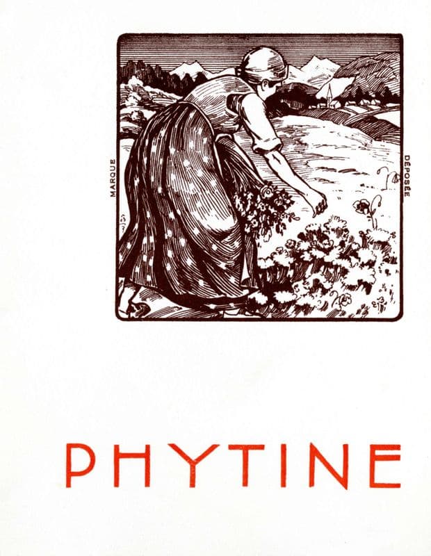 Phytine (1910-1950) as a canvas print