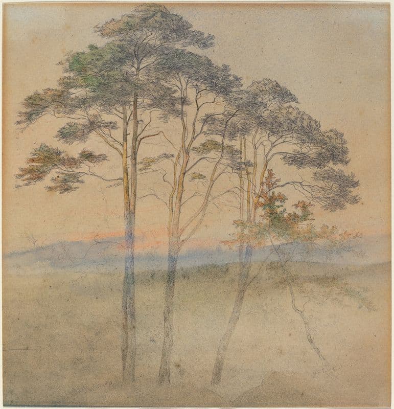 Pines in a Morning Fog (1830s) as a canvas print