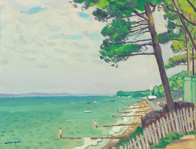 Pins au Pyla as a canvas print