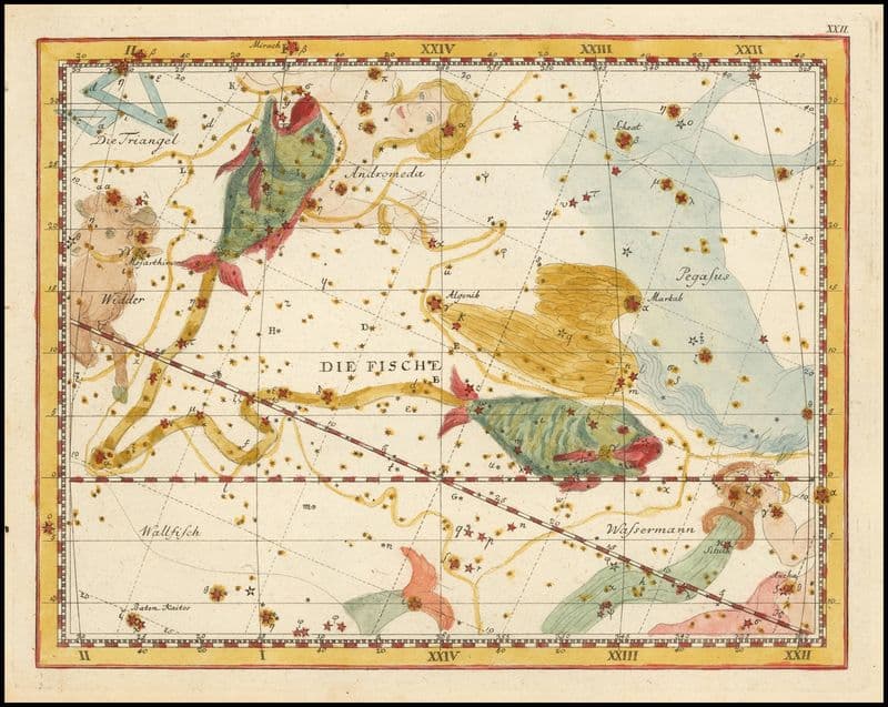 Pisces as a canvas print