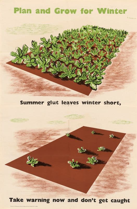 Plan and Grow for Winter – Summer Glut Leaves Winter Short – Take Warning Now and Don’t Get Caught as a canvas print
