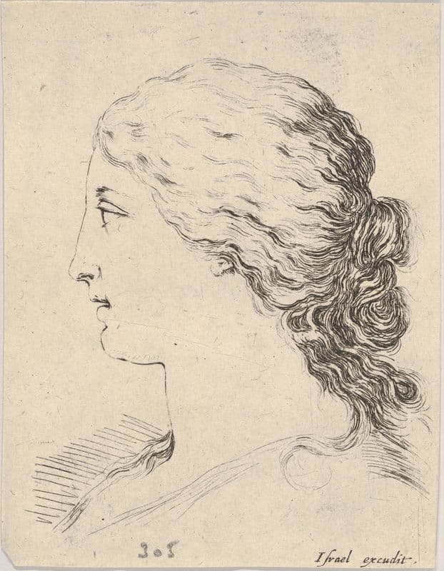 Plate 14; head of a woman as a canvas print