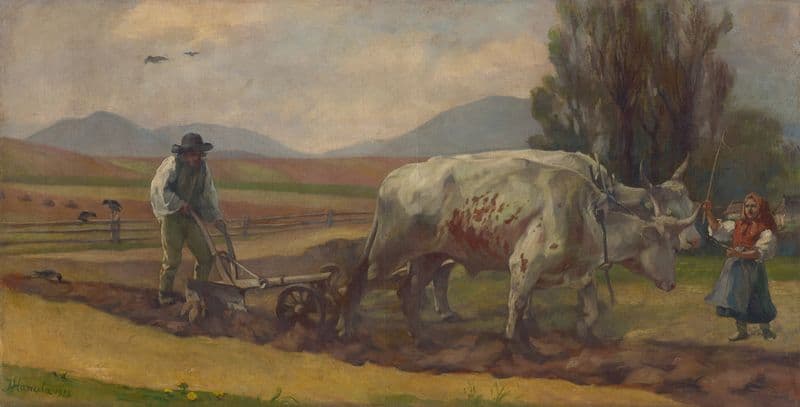 Ploughing as a canvas print