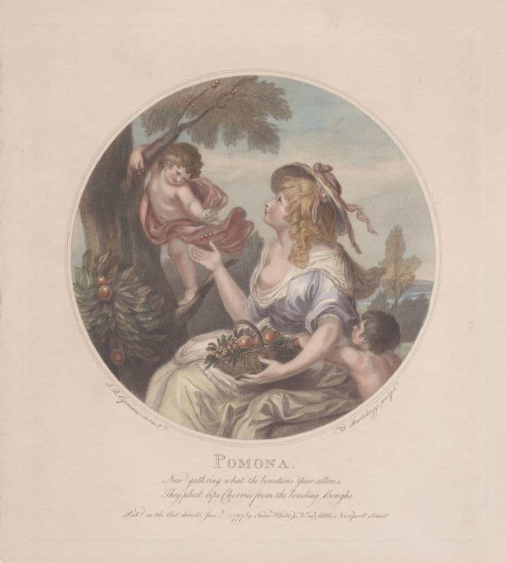 Pomona as a canvas print