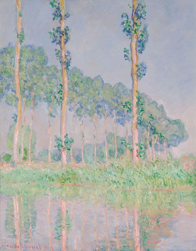 Poplars, Pink Effect as a canvas print