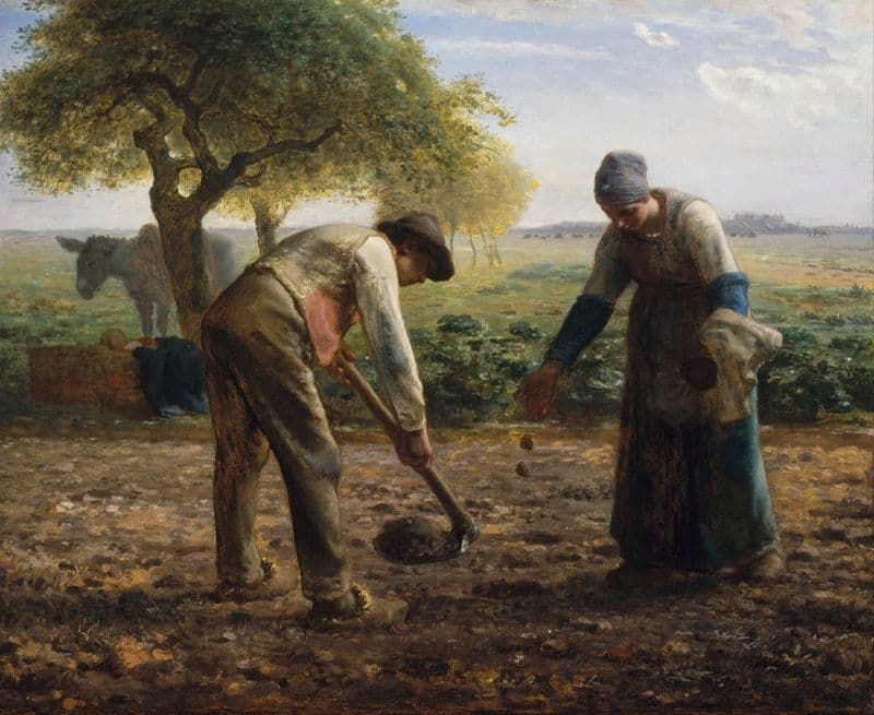 Potato Planters (about 1861) as a canvas print