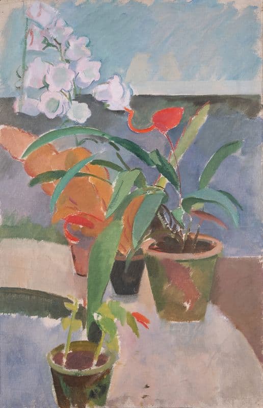 Potted Plants as a canvas print