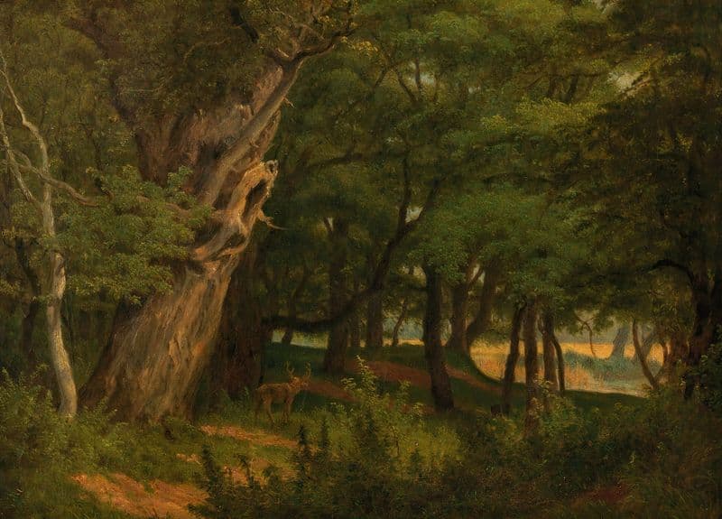 Praterlandschaft (ca. 1850–1860) as a canvas print