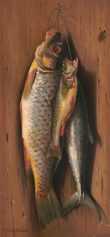 Pride of the water as a canvas print