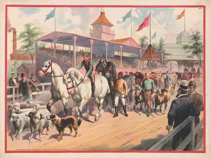 Procession of horses, sheep, and cows on a race track as a canvas print