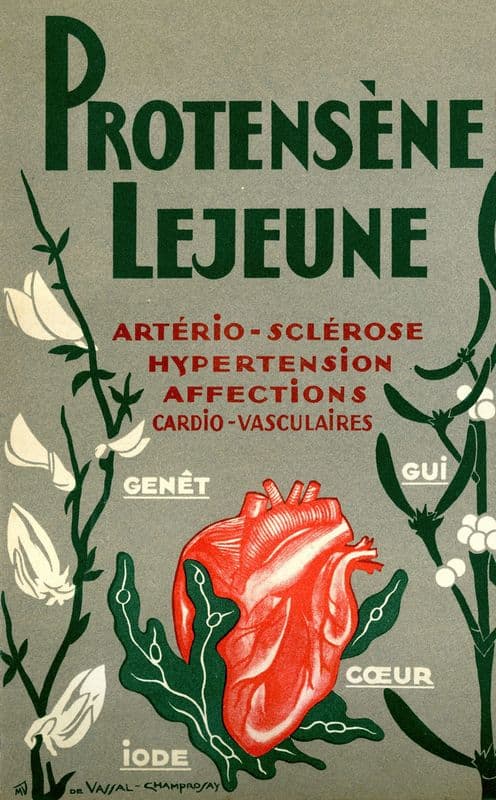 Protensène Lejeune (1910-1950) as a canvas print