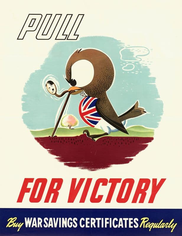 Pull for Victory as a canvas print