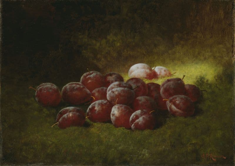 Purple Plums as a canvas print