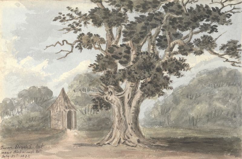 Queen Elizabeth’s Oak near Finborough Hall July 31, 1824 as a canvas print