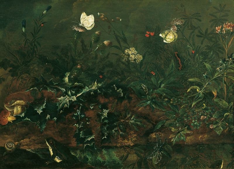 Rasenstück mit Distel, Fröschen und Libelle as a canvas print