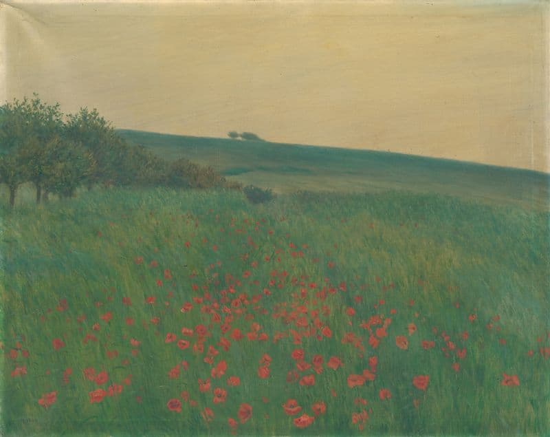 Red Poppies as a canvas print