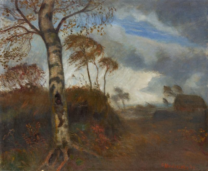 Regenstimmung im Moor as a canvas print