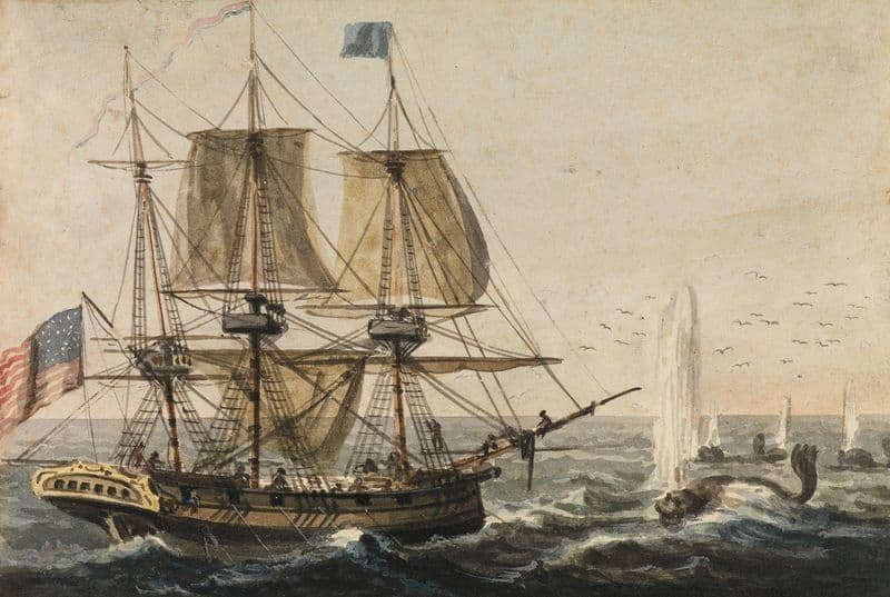Replenishing the Ship’s Larder with Codfish off the Newfoundland Coast (1811–ca. 1813) as a canvas print