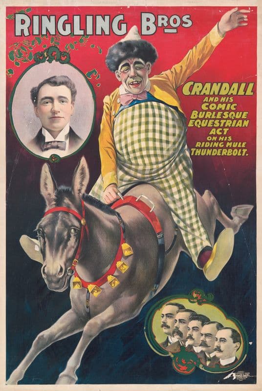 Ringling Bros.–Crandall and his comic burlesque equestrian act on his riding mule Thunderbolt as a canvas print