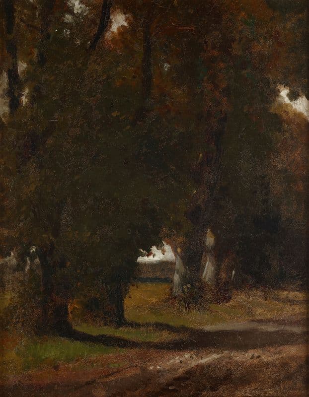 Road Among Trees as a canvas print