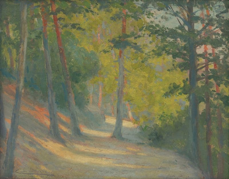 Road to Bankov (1909-1913) as a canvas print