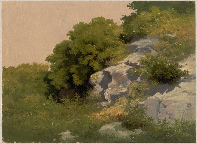 Rocks overgrown with lush vegetation (1853 - 1880) as a canvas print