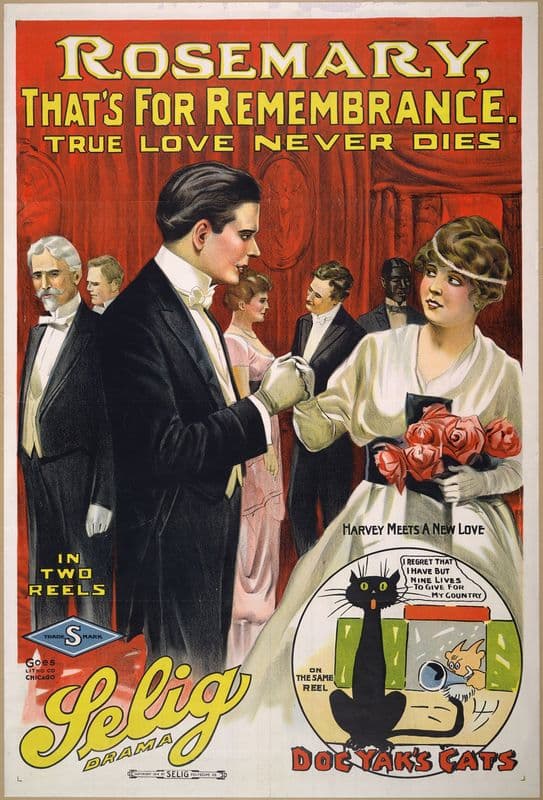 Rosemary, that’s for remembrance True love never dies. as a canvas print