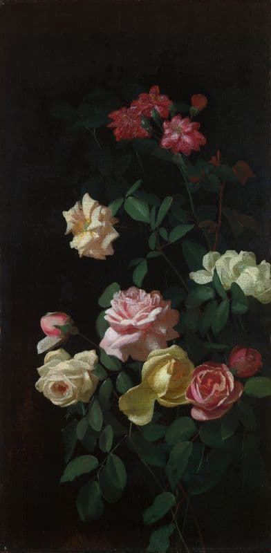 Roses as a canvas print