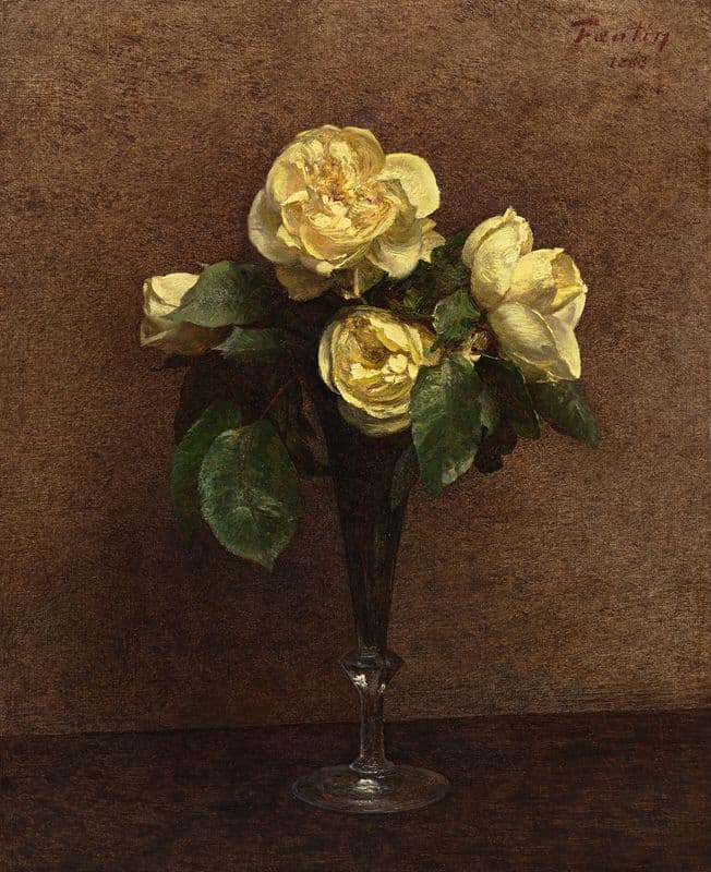 Roses jaunes, Maréchal Niel as a canvas print