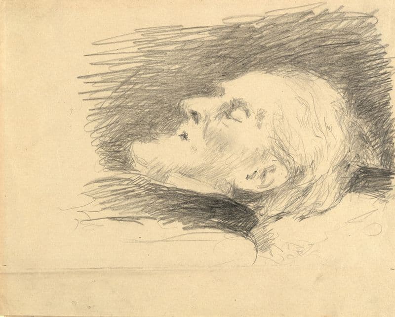 Rudolf von Alt am Sterbebett as a canvas print