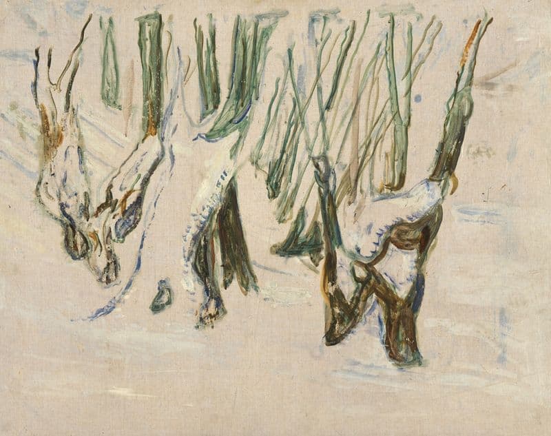 Rugged Trunks in Snow (1923–25) as a canvas print