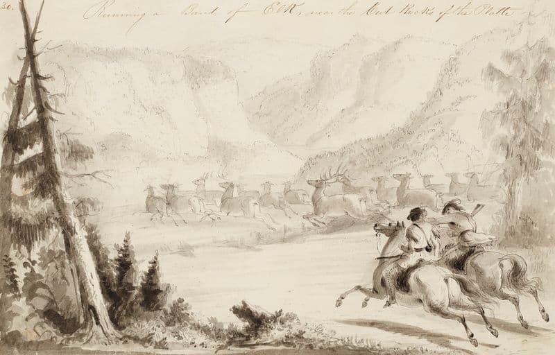 Running a Bank of Elk, Near the Cut Rocks of the Platte (circa 1837) as a canvas print