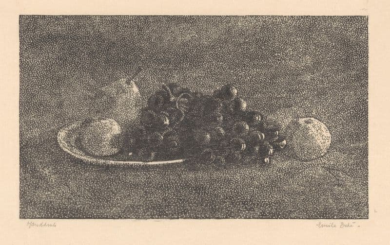 Schaal met druiven en ander fruit (20th century) as a canvas print