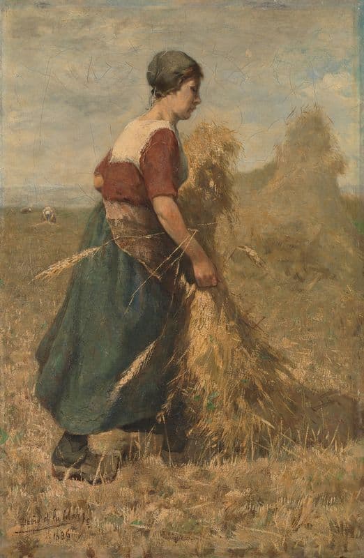 Schoven binden as a canvas print