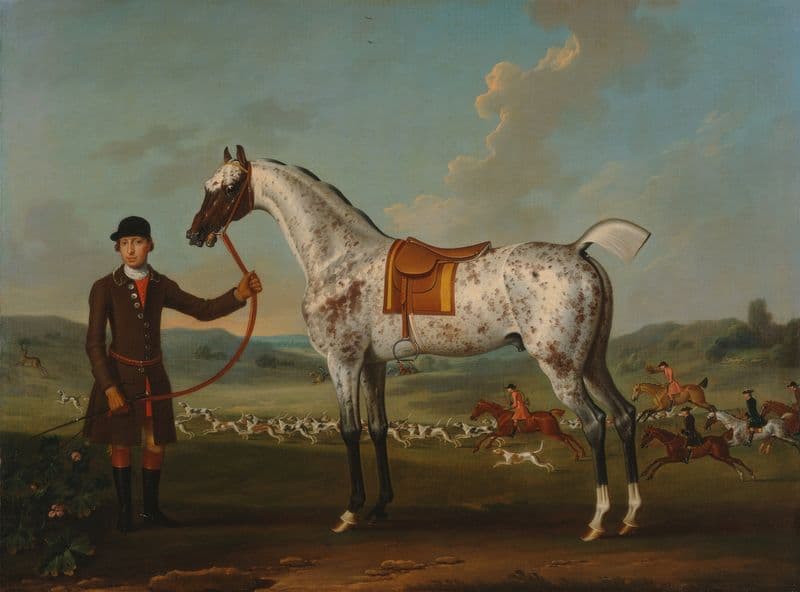 Scipio, a spotted hunter, the property of Colonel Roche (ca. 1750) as a canvas print