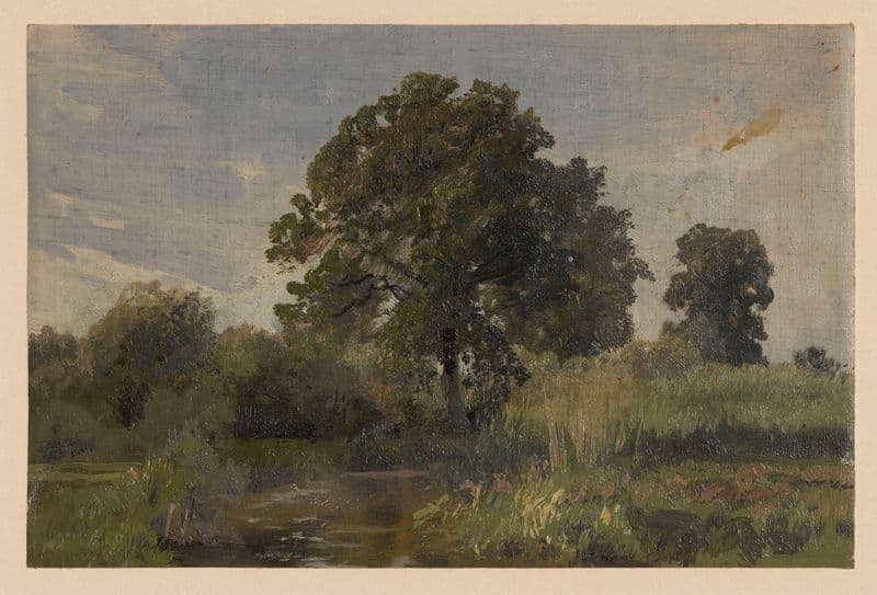 Scrub and trees by the River Barycz (1850-1881) as a canvas print