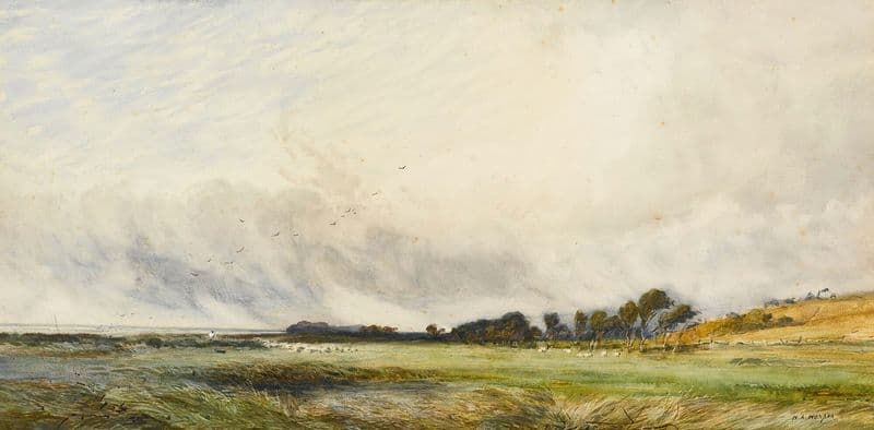 Sheep Grazing By The Coast as a canvas print