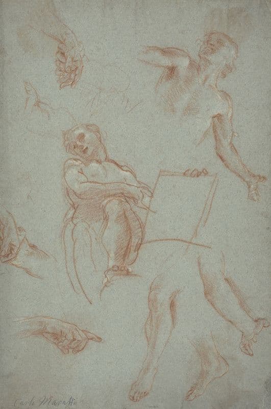 Sheet of Studies with Figures, Hands and Feet as a canvas print
