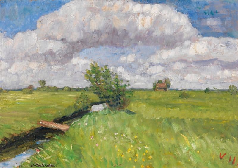 Sommerliche Wümmewiesen as a canvas print