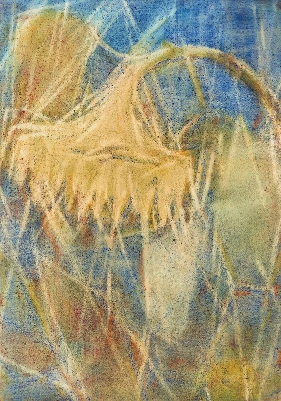 Sonnenblume (Sonnenblumenkopf) as a canvas print