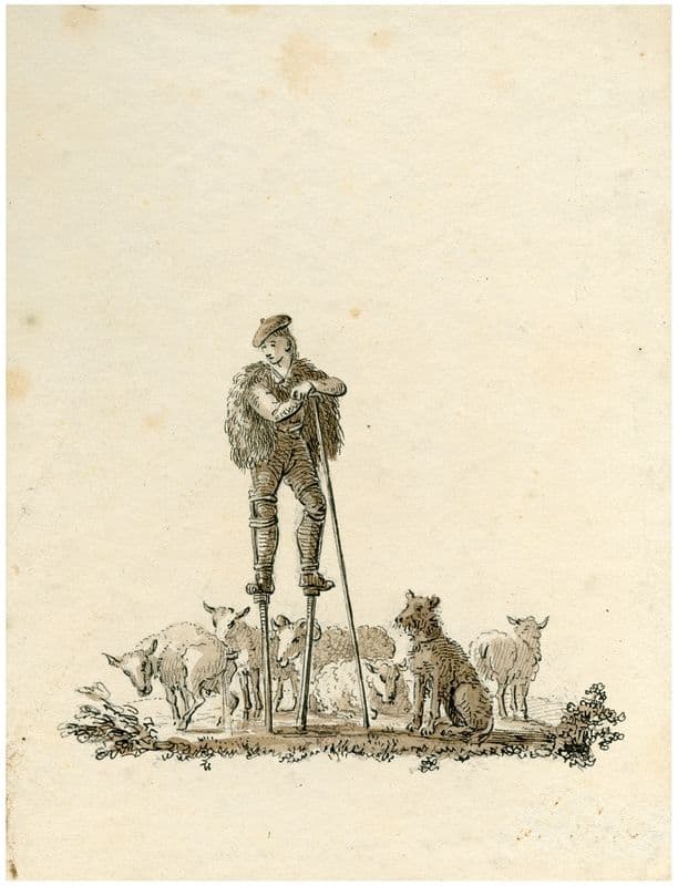 Spaanse herder met schapen as a canvas print