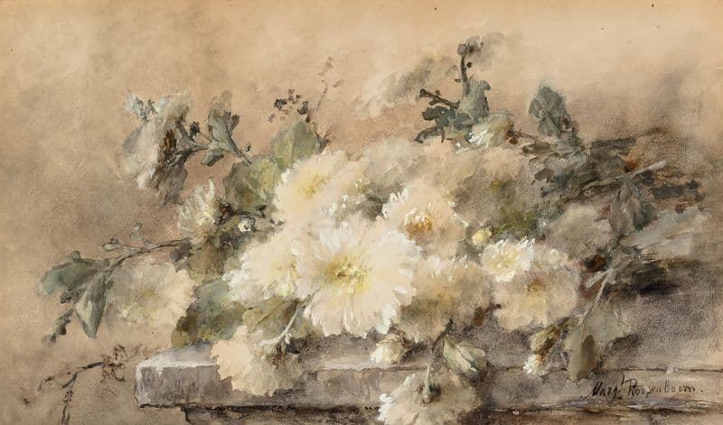 Spray of white chrysanthemums on a stone ledge as a canvas print
