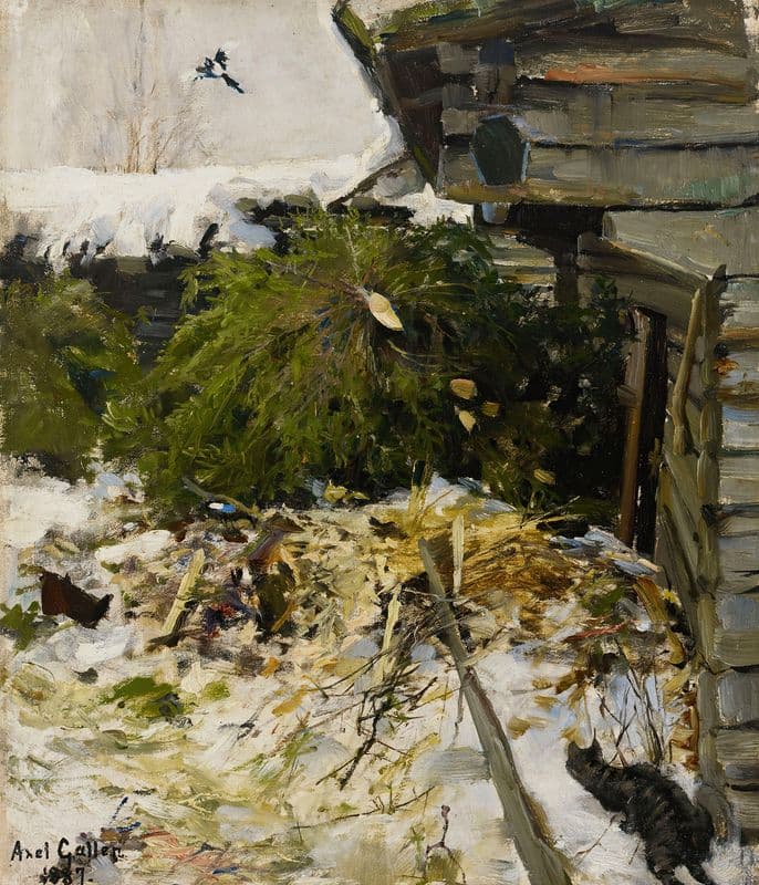 Spruces in a Farmyard as a canvas print