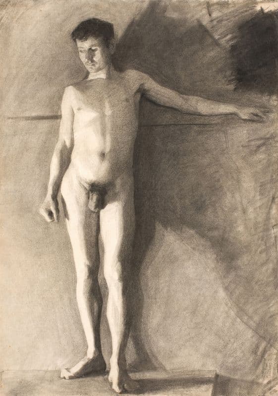 Stående mandlig model (1881 – 1884) as a canvas print