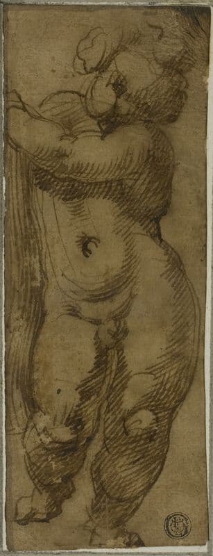 Standing Putto Seen from the Front; Study for the Virgin in Glory with Saints Petronius, Dominic, and Peter Martyr (1570-75) as a canvas print