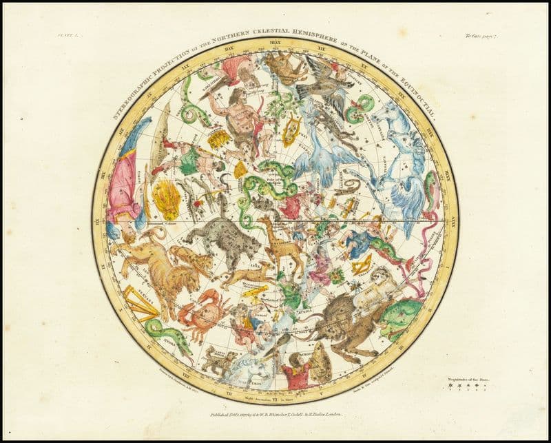 Stereographic Projection of the Northern Celestial Hemisphere as a canvas print