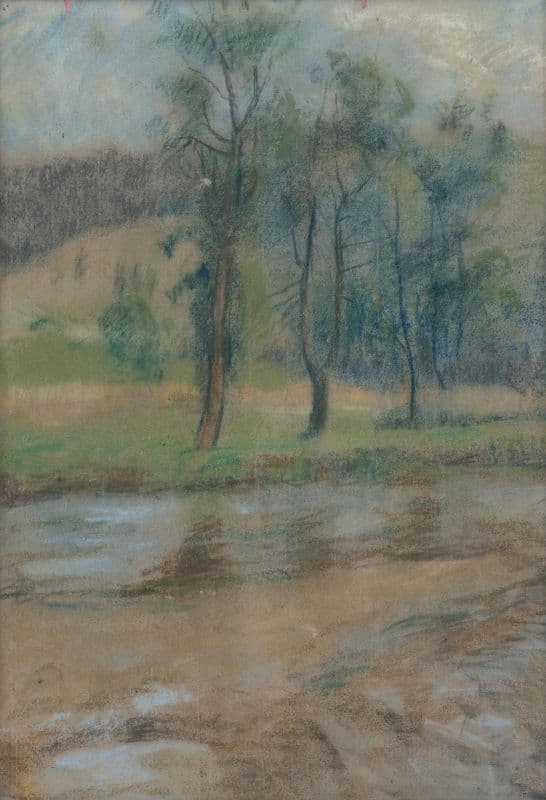 Stromy pri rieke as a canvas print