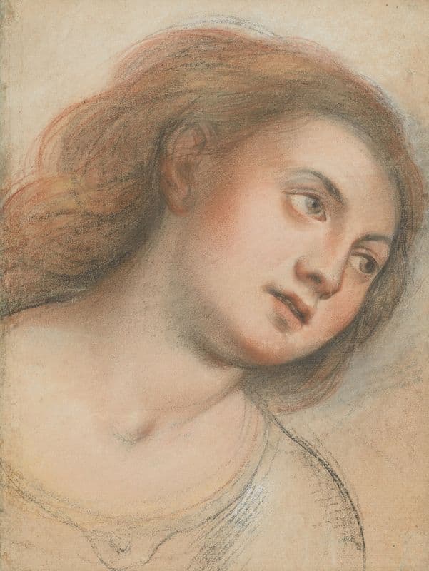 Study for Female Head (1635-40) as a canvas print