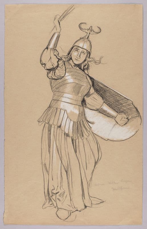 Study of a Valkyrie Costume in Combat as a canvas print
