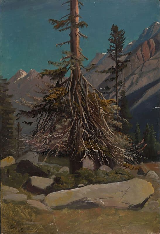 Study of Trees in the Alps as a canvas print